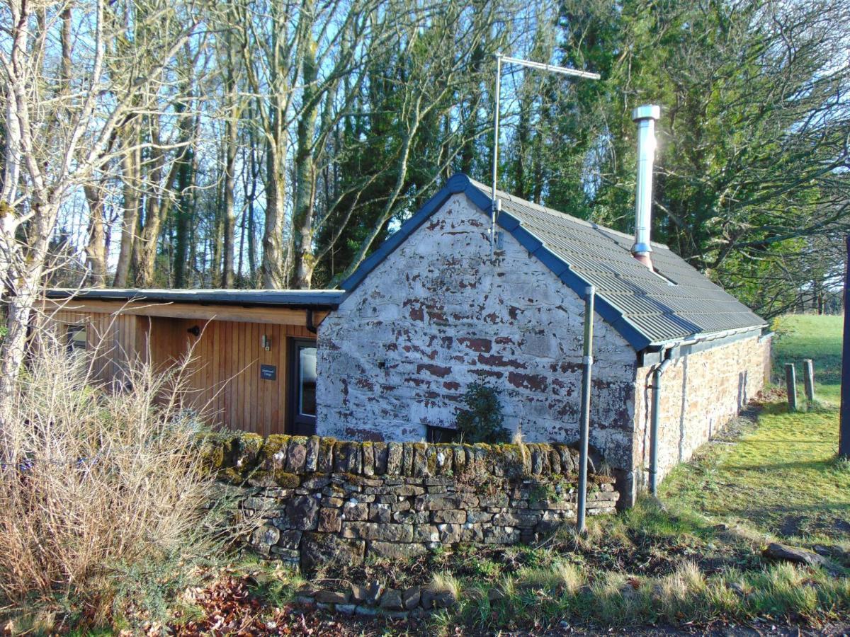Dreamwood Cottage, Loch Lomond, Luxury Apartment. Глазгоу Екстериор снимка