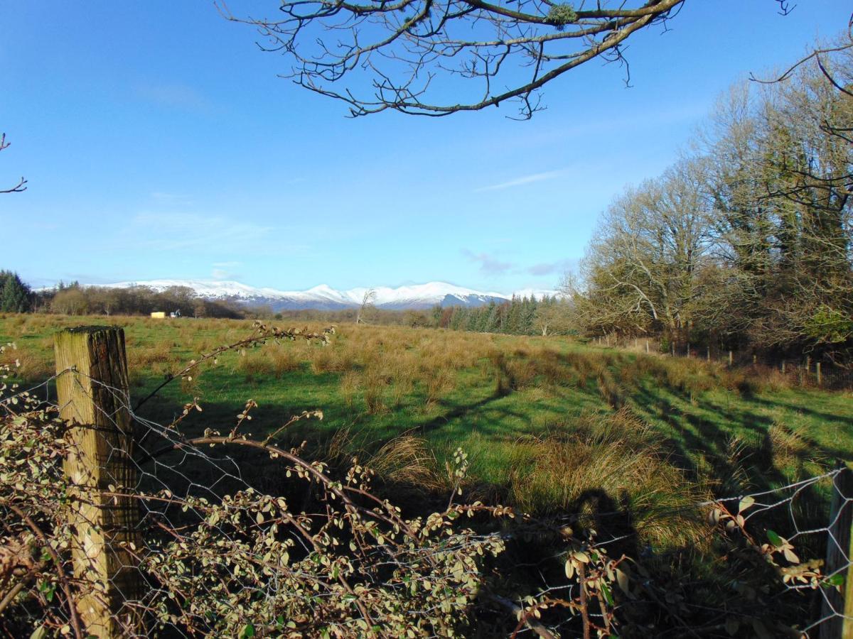 Dreamwood Cottage, Loch Lomond, Luxury Apartment. Глазгоу Екстериор снимка